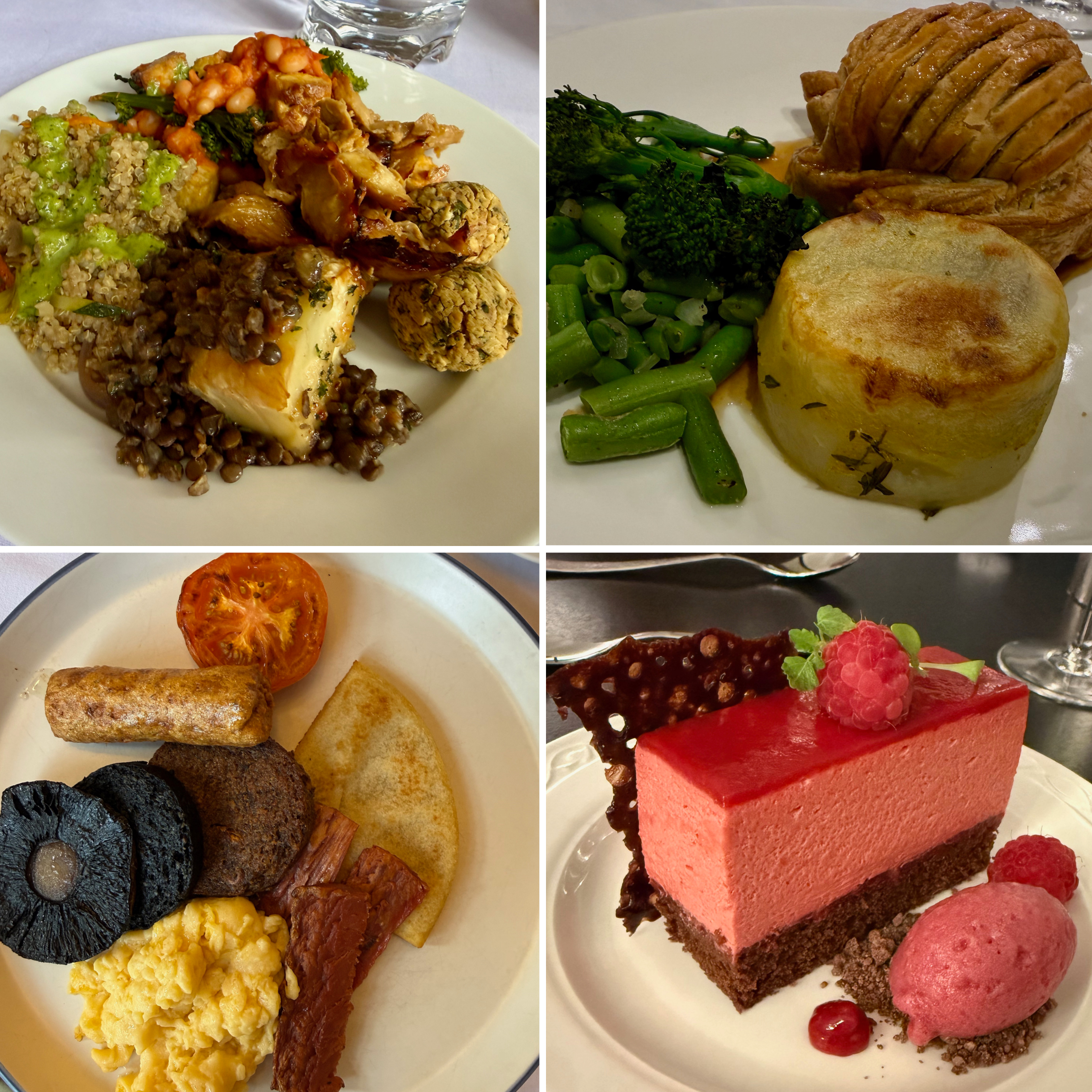 A selection of vegan meals enjoyed during our Scotland journey