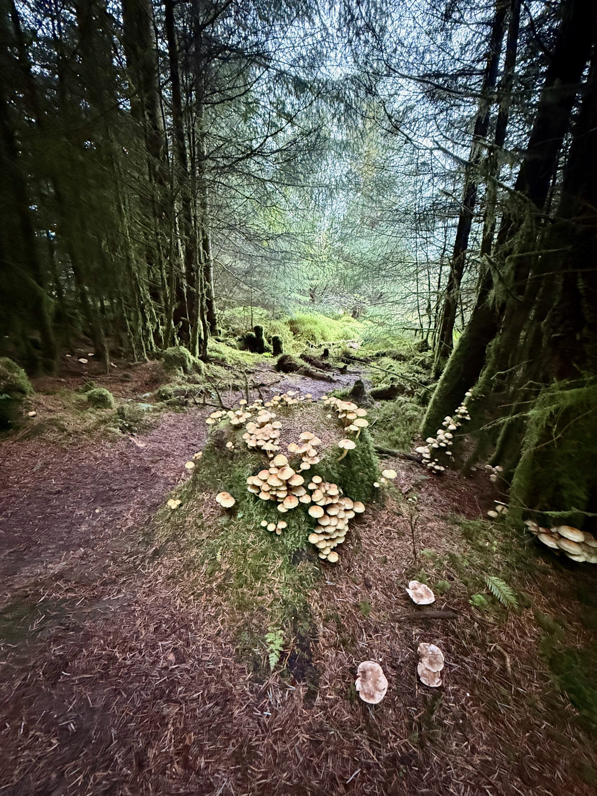 Achnabreck Hike